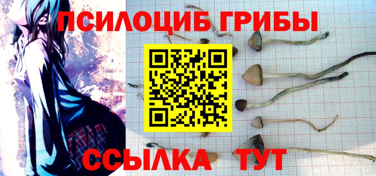 Удомля  Псилоцибиновые грибы GOLDEN TEACHER  Вход с VPN 