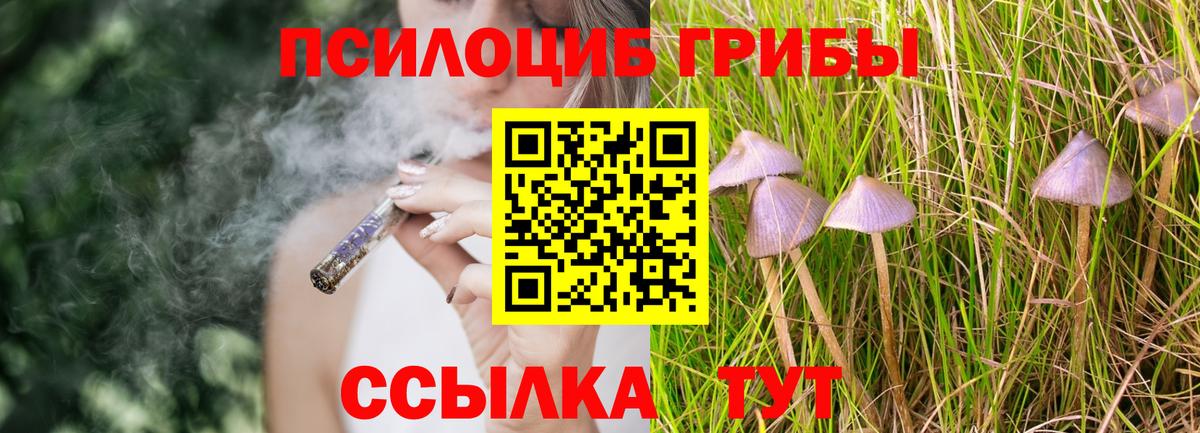 Псилоцибиновые грибы мицелий Удомля